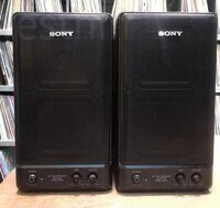 Sony SRS-200