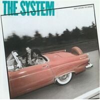 The System ‎– Don't Disturb This Groove