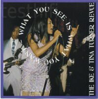 Ike & Tina Turner ‎– What You See Is What You Want