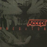 Accept – Predator