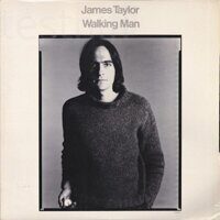 James Taylor ‎– Walking Man, Vinyl, LP, Album, Promo